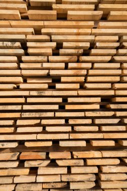 taze ahşap Çıtçıt