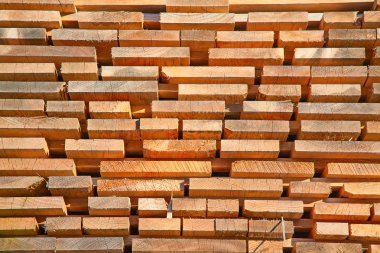 taze ahşap Çıtçıt