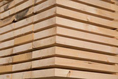 taze ahşap Çıtçıt