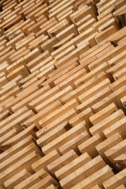 taze ahşap Çıtçıt