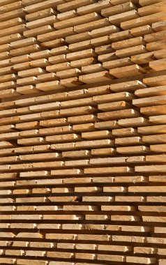 taze ahşap Çıtçıt