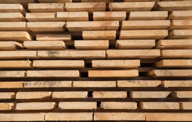 taze ahşap Çıtçıt