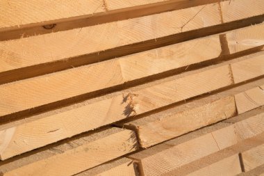 taze ahşap Çıtçıt