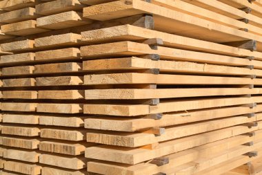 taze ahşap Çıtçıt