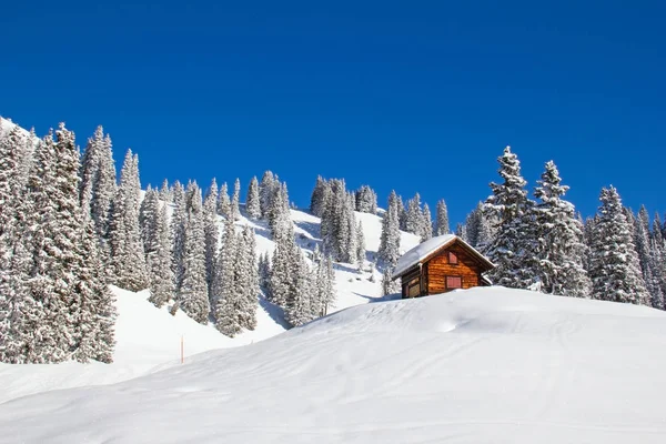 Winter in de Alpen — Stockfoto