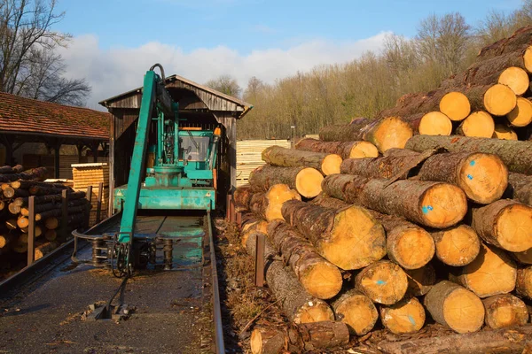 Frische Holznieten — Stockfoto