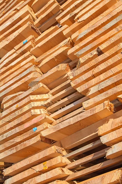 Borchie di legno fresco — Foto Stock