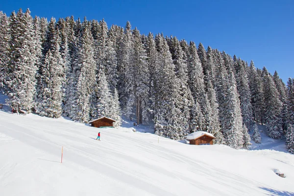 Зима в Альпах — стоковое фото