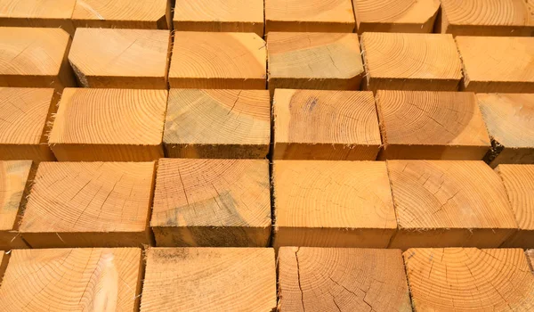 Borchie di legno fresco — Foto Stock