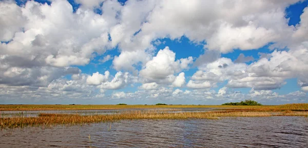 Everglades — Stok fotoğraf