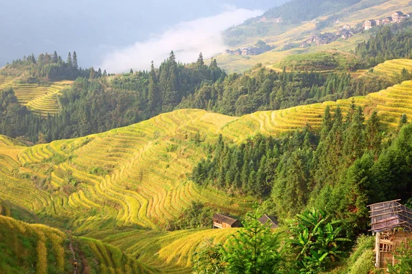 Terraços de arroz longji — Fotografia de Stock