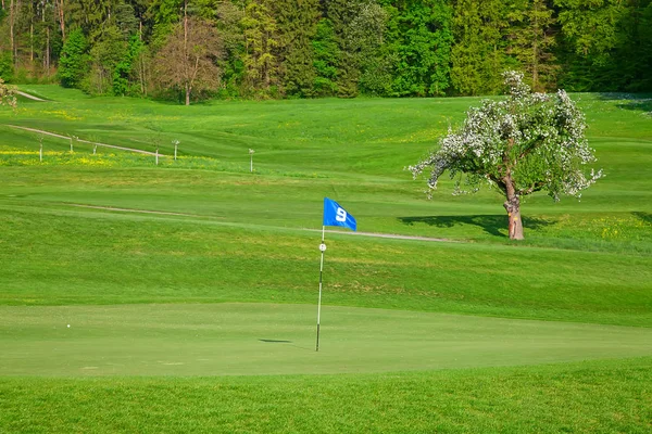 Bandera en el campo de golf — Foto de Stock
