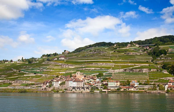 Região de lavaux — Fotografia de Stock