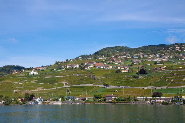 Região de lavaux — Fotografia de Stock