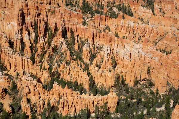 Bryce Canyon. — Fotografia de Stock