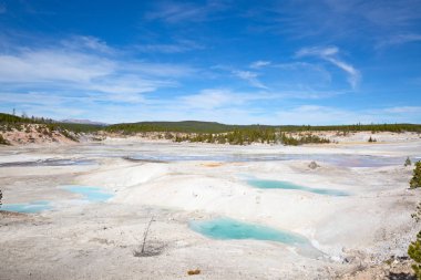 Norris Gayzer Havzası