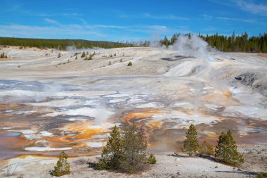 Norris Gayzer Havzası