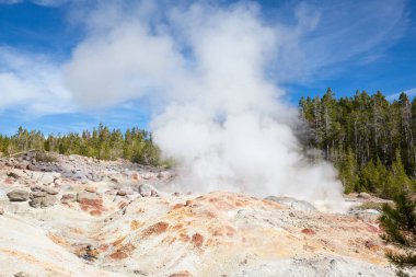Norris Gayzer Havzası