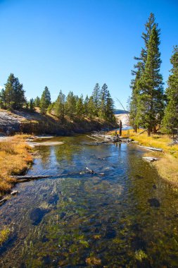Siyah kum Şofben Havzası