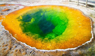 Siyah kum Şofben Havzası