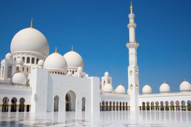 Sheikh zayed Camisi