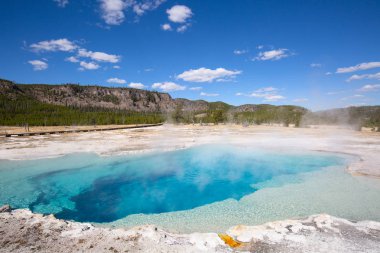 Siyah kum Şofben Havzası