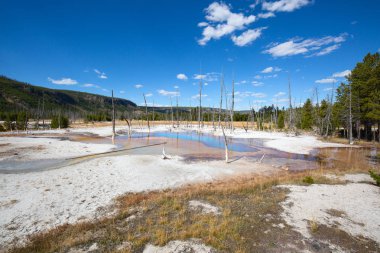 Siyah kum Şofben Havzası