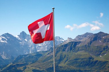 Swiss flag clipart