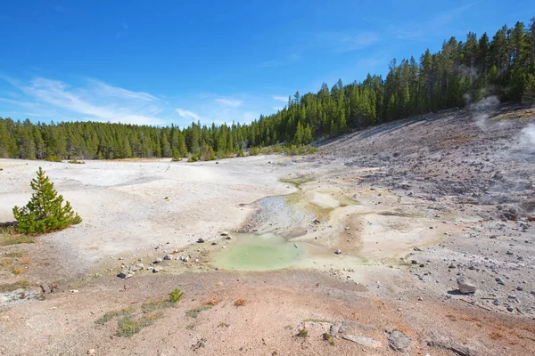 Norris Geysers bäcken — Stockfoto