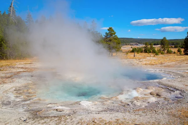 Svart sand geyser basin — Stockfoto