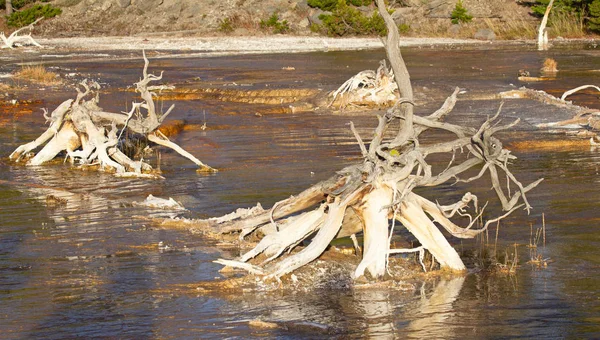 Lower geyser basin — Stock Photo, Image