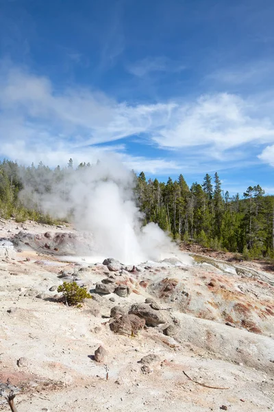 Cuenca del Géiser Norris — Foto de Stock