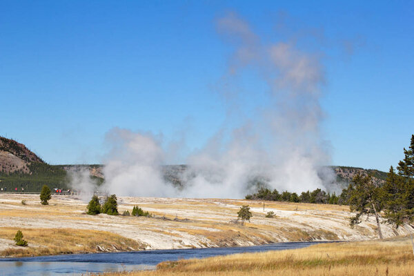 Lower geyser basin