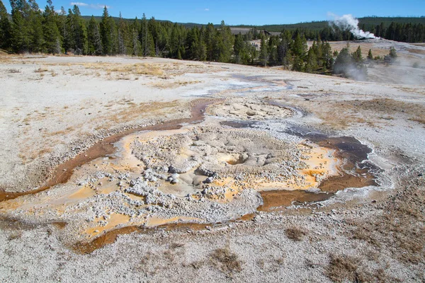 Svart sand geyser basin — Stockfoto