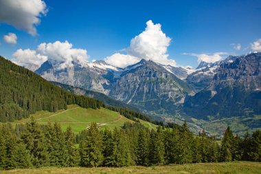 Jungfrau bölgesinde yaz manzarası