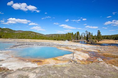 Yellowstone Ulusal Parkı 'ndaki kara kum gayzer havzası, ABD