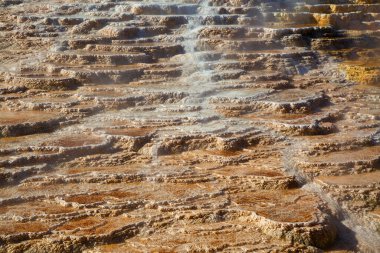 Yellowstone Ulusal Parkı 'ndaki Mamut Kaplıcaları, Wyoming, ABD