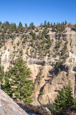 Yellowstone Ulusal Parkı, Wyoming, ABD 'deki Calcite yayları