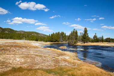 Yellowstone Ulusal Parkı 'ndaki kara kum gayzer havzası, ABD