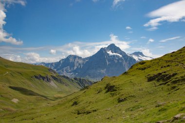 Jungfrau bölgesinde yaz manzarası