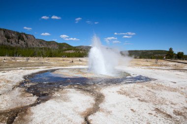 Yellowstone Ulusal Parkı 'ndaki kara kum gayzer havzası, ABD