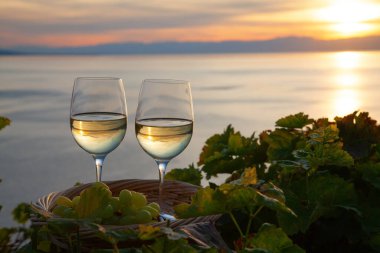 Leman Gölü (Cenevre Gölü) üzerindeki Lavaux bölgesinin üzüm bağları)