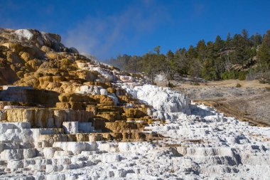 Yellowstone Ulusal Parkı 'ndaki Mamut Kaplıcaları, Wyoming, ABD