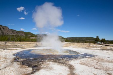 Yellowstone Ulusal Parkı 'ndaki kara kum gayzer havzası, ABD