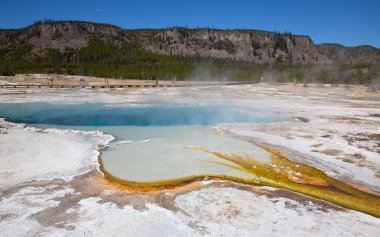 Yellowstone Ulusal Parkı 'ndaki kara kum gayzer havzası, ABD