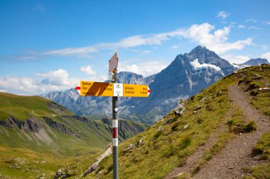 Jungfrau bölgesinde yaz manzarası