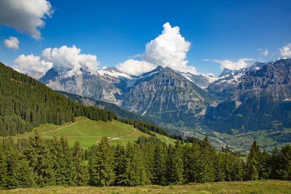 Jungfrau bölgesinde yaz manzarası