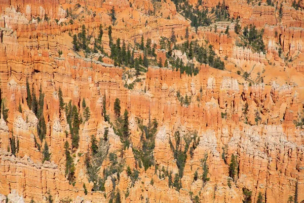 Parque Nacional Canyon Bryce Utah Eua — Fotografia de Stock