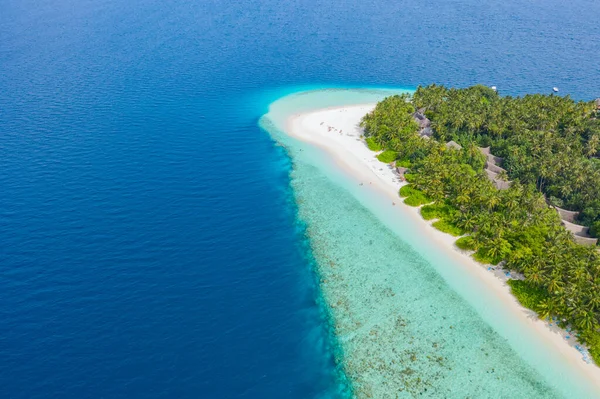 몰디브 의작은 야자나무로 아름다운 산호와 동물들로 둘러싸인 청록색 바다가 차가운 — 스톡 사진