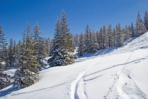 Helling Het Skigebied Flumserberg Zwitserland — Stockfoto